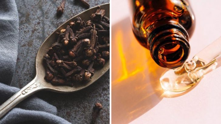 15 Surprising Health Benefits Of Clove Oil