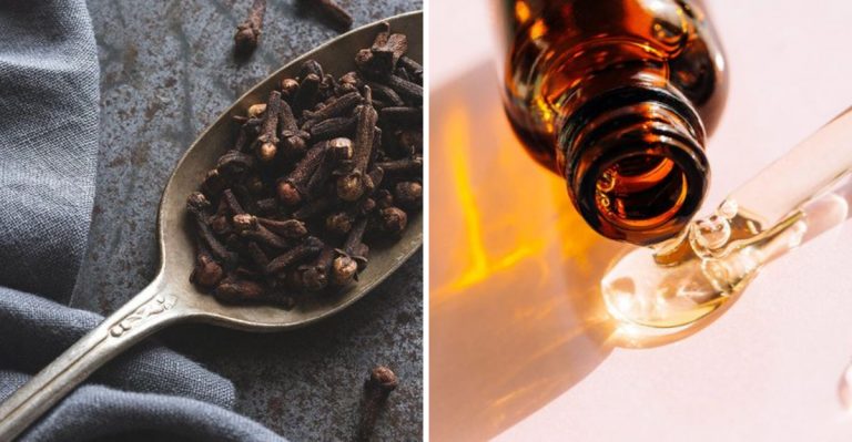 15 Surprising Health Benefits Of Clove Oil
