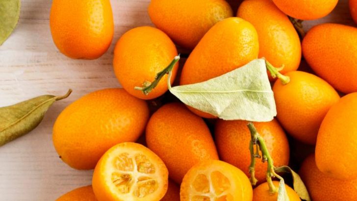 16 Citrus Fruits You Might Not Have Heard Of