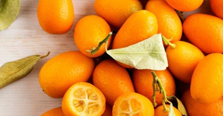 16 Citrus Fruits You Might Not Have Heard Of