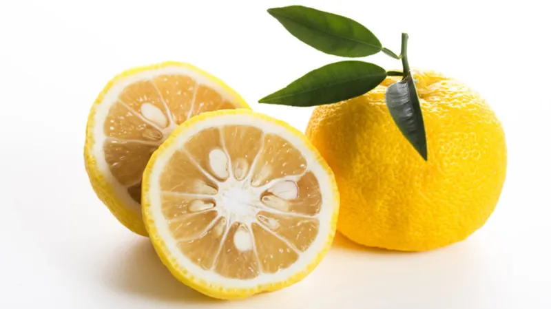 Yuzu