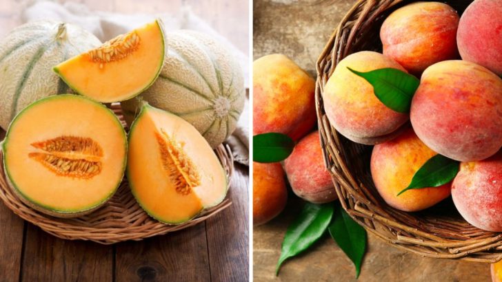 16 Of The Best Hydrating Foods To Eat, According To Nutritionists