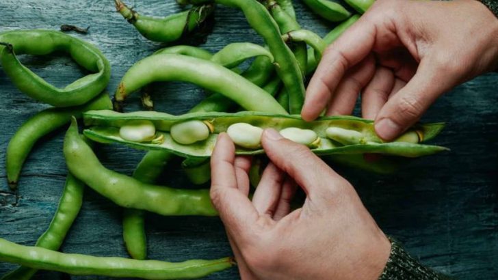16 Plant-Based Food Trends Shaping The Global Culinary Scene