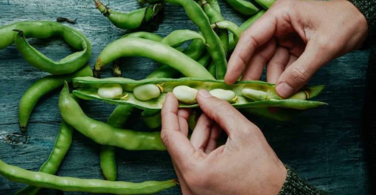 16 Plant-Based Food Trends Shaping The Global Culinary Scene