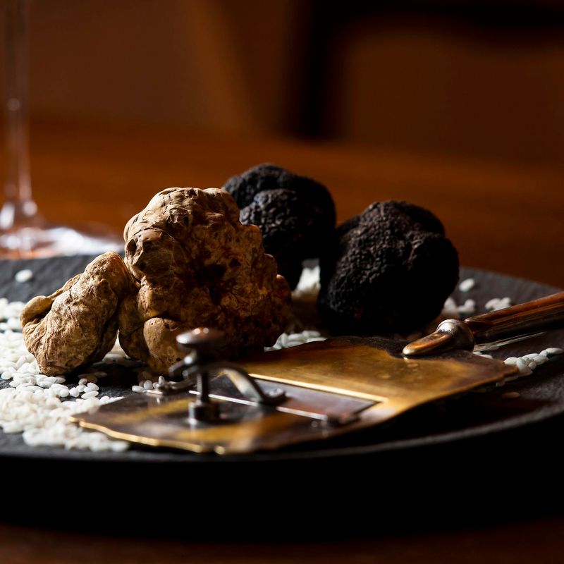 Most 'Truffle' Products Contain Zero Actual Truffles