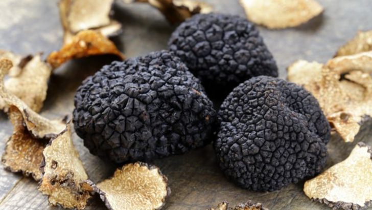 16 Reasons Why You Should Avoid Ordering Truffle-Flavored Anything