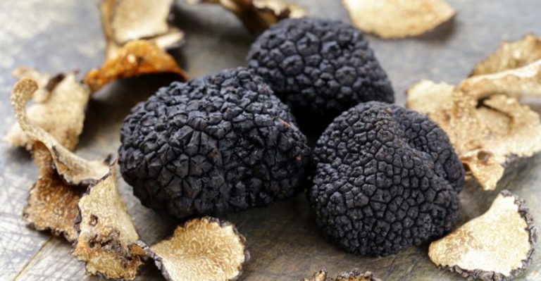 16 Reasons Why You Should Avoid Ordering Truffle-Flavored Anything