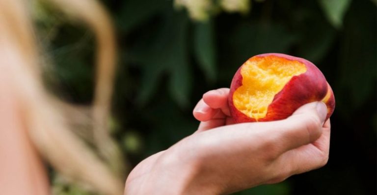 18 Best Stone Fruits For A Healthier You According To Dietitians