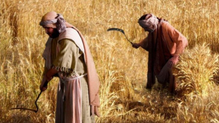 19 Foods In The Bible That Americans Still Eat Today