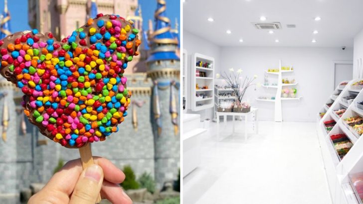 20 Best Candy Stores In The US