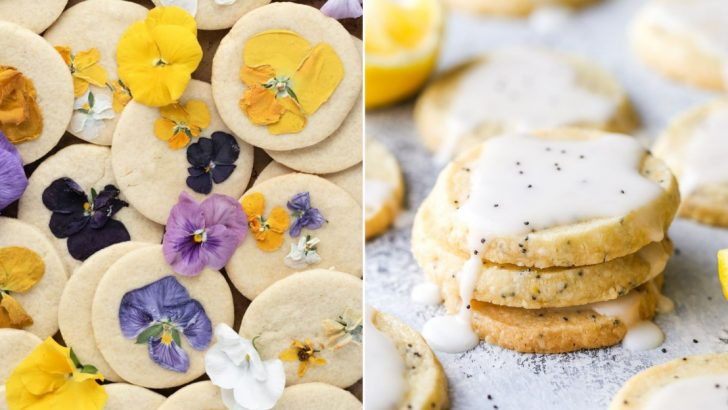 20 Gorgeous Cookies That Celebrate Spring In Every Bite