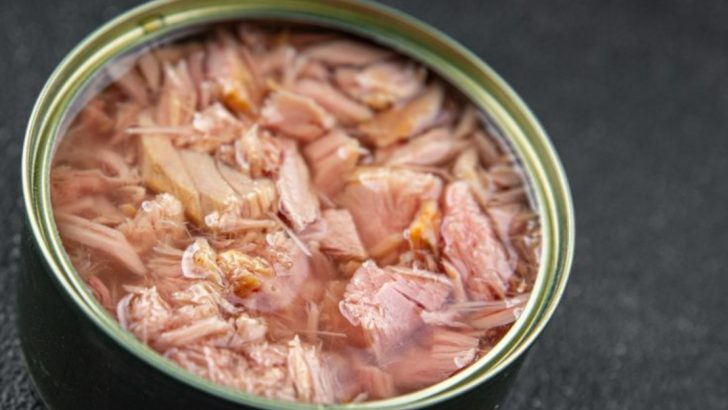 20 Shelf-Stable Canned Foods That Belong In Your Camp Pack