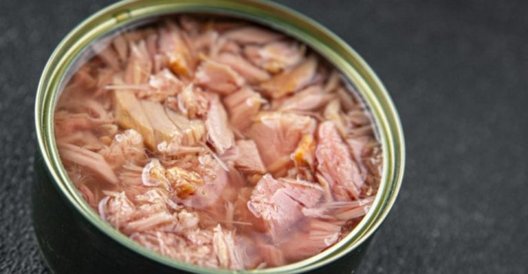 the best canned foods for camping