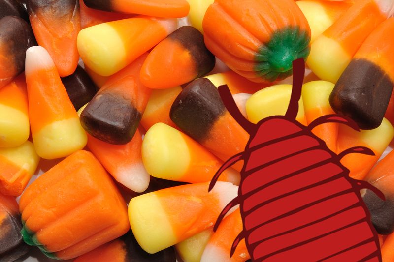 Confectioner's Glaze Candies