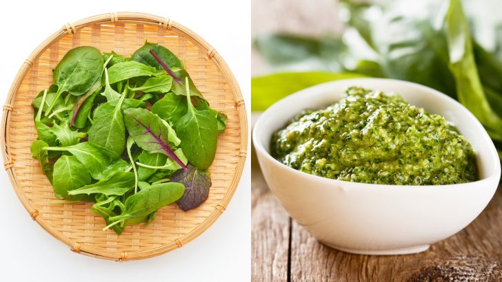 8 Brilliant Uses For Arugula And Sunflower Pesto (Plus 7 You Probably Shouldn’t Try)