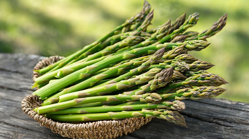 Great Source Of Folate