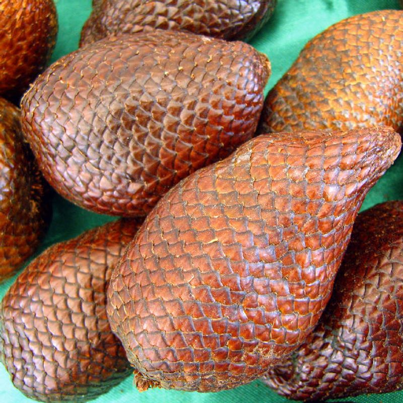 Salak (Snake Fruit)
