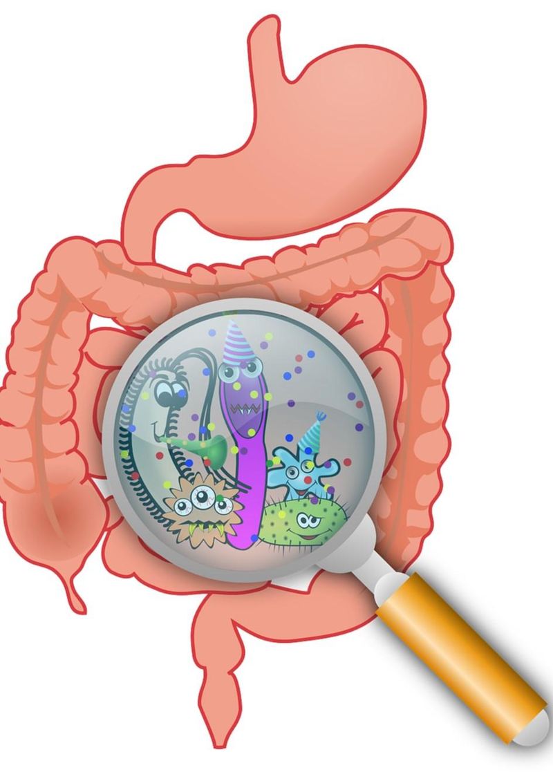 Digestive System Changes