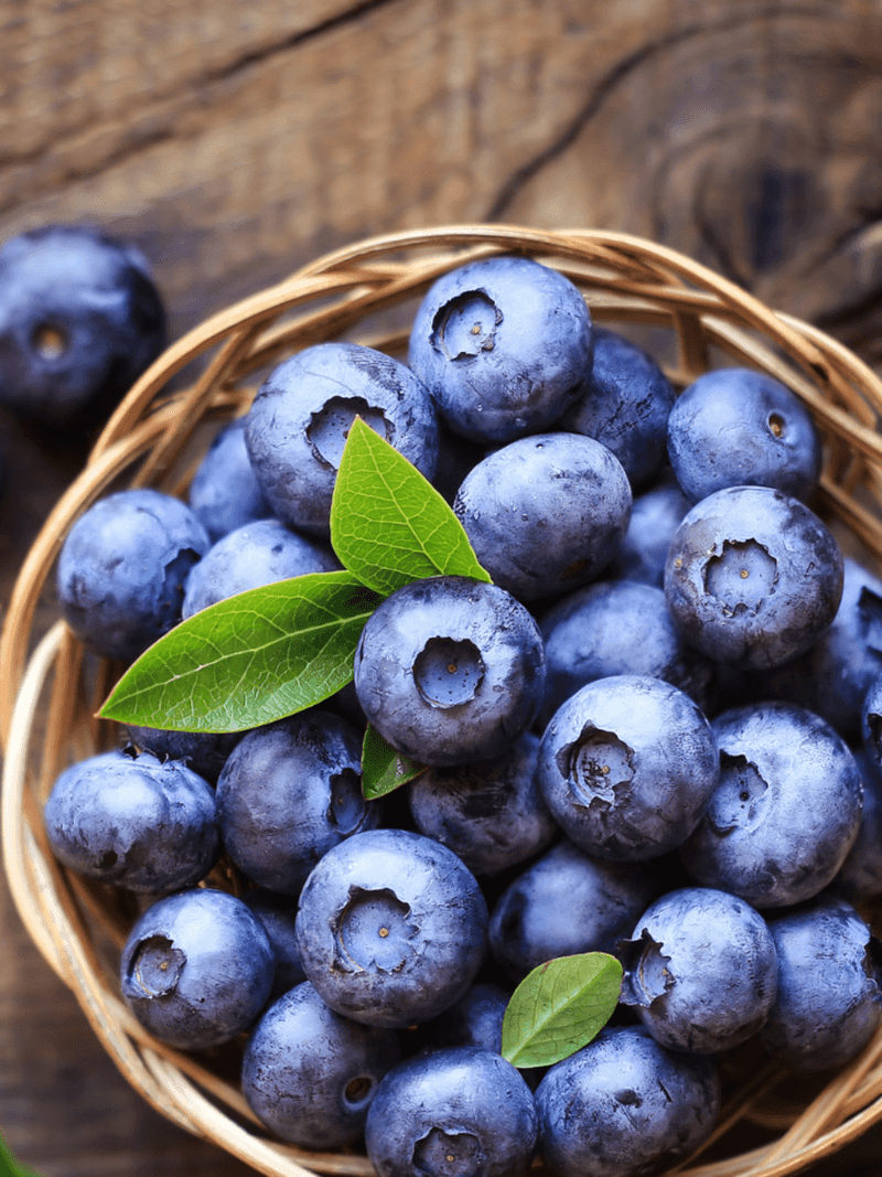 Blueberries: Tiny Blue Defenders