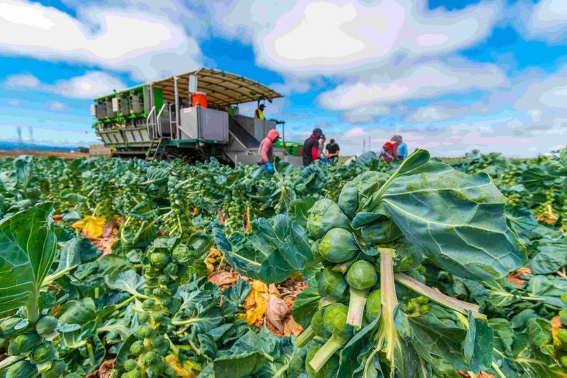 Farm-To-Table Fast Casual Revolution