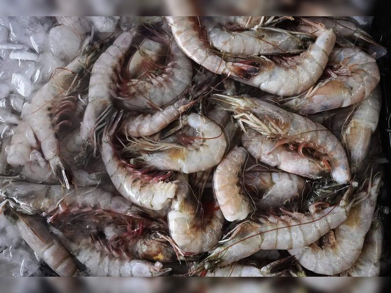 Seafood Supplies Sinking
