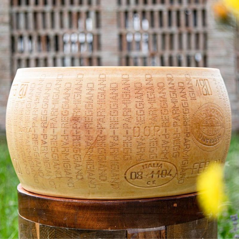 Cheese Is The Most Stolen Food Globally