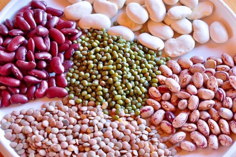 Beans: Humble Protein Source