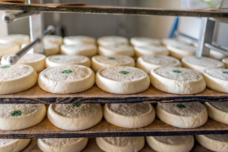 Raw Milk Cheese: Traditional But Treacherous