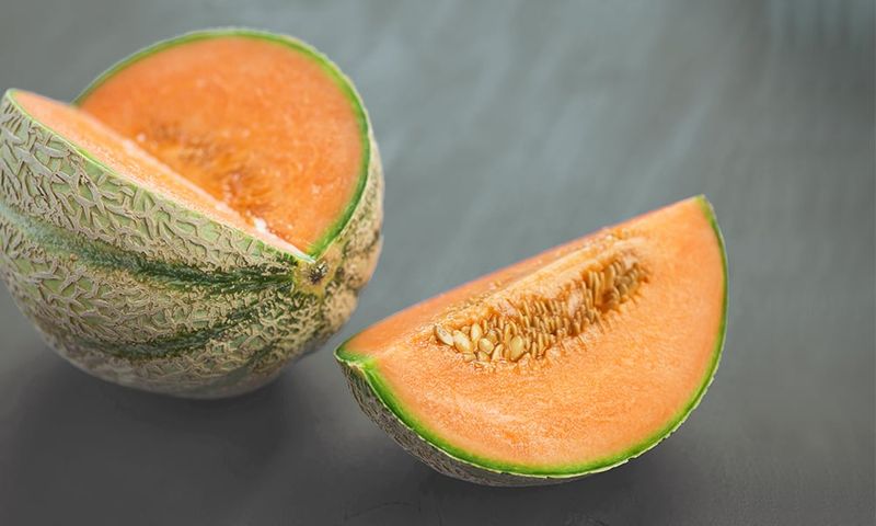 Cantaloupe