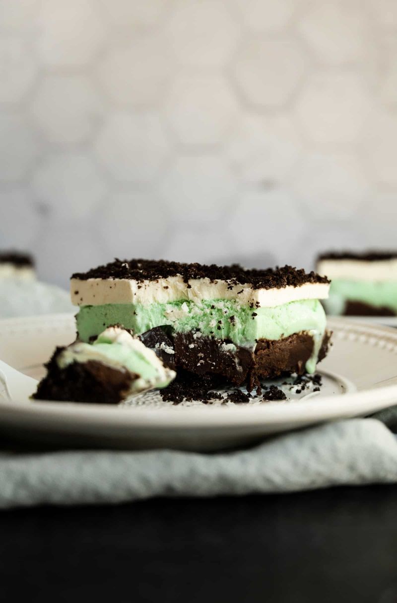 Mint Chocolate Chip Ice Cream Cake