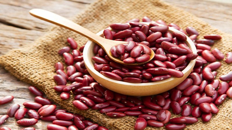 Red Kidney Bean Sprouts