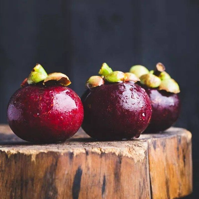 Mangosteen (Garcinia mangostana)