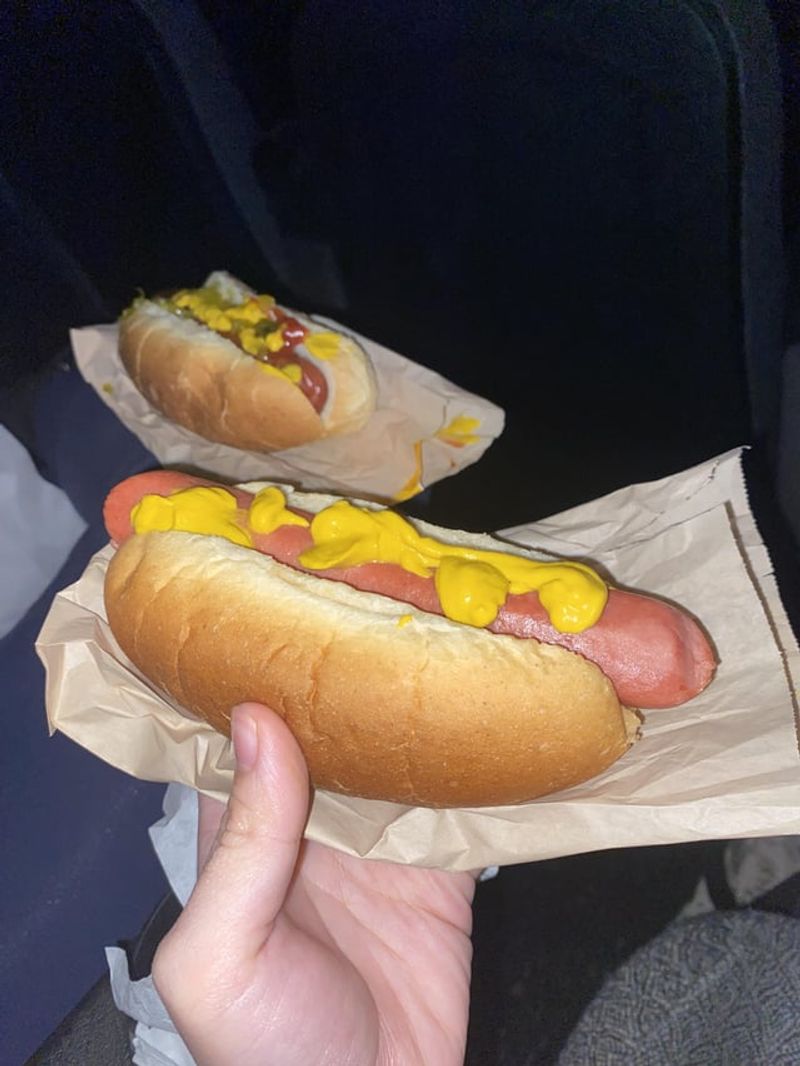 Hot Dogs – Mystery Meat Highway