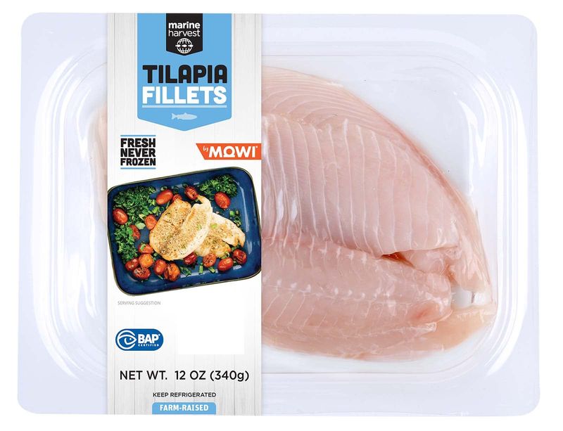 Frozen Tilapia Fillets