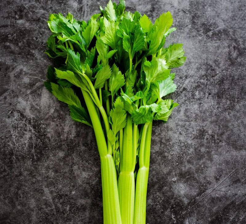 Celery Gets Stringy