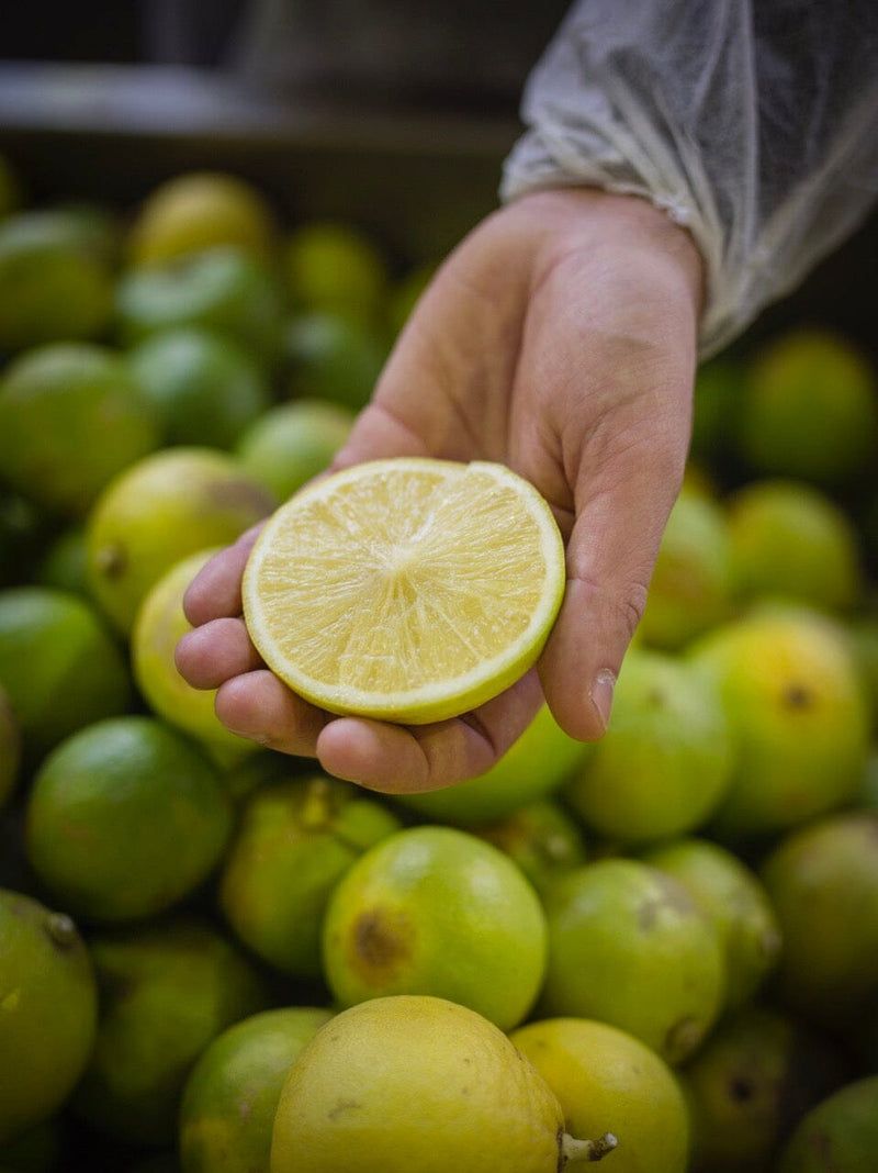 Bergamot