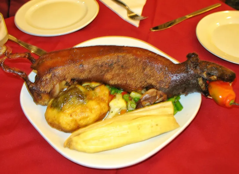 Guinea Pig (Cuy)