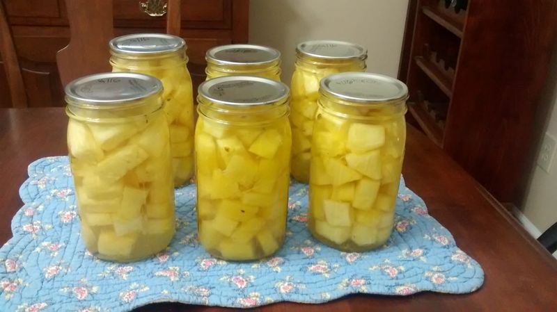 Canned Pineapple Chunks