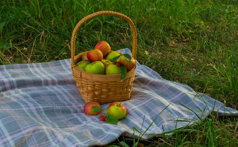 Apples
