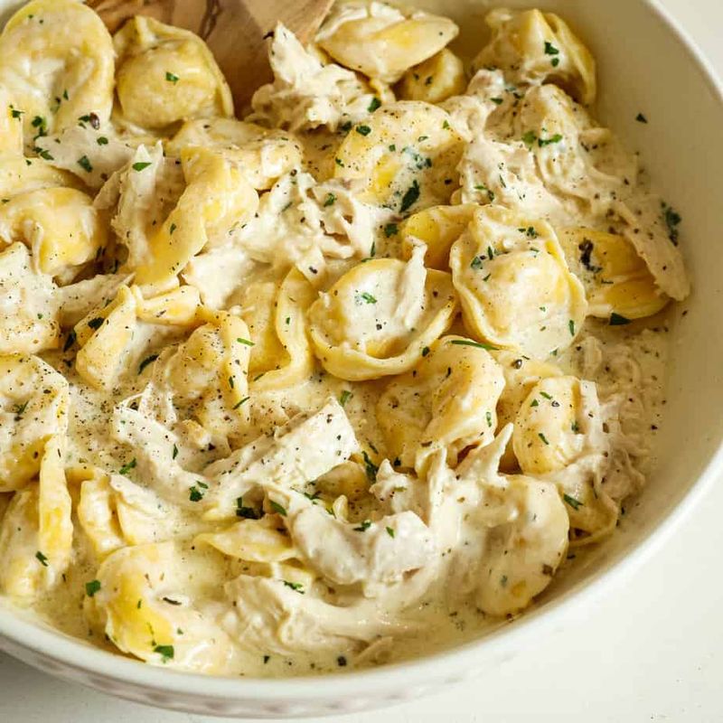 Chicken Alfredo Tortellini