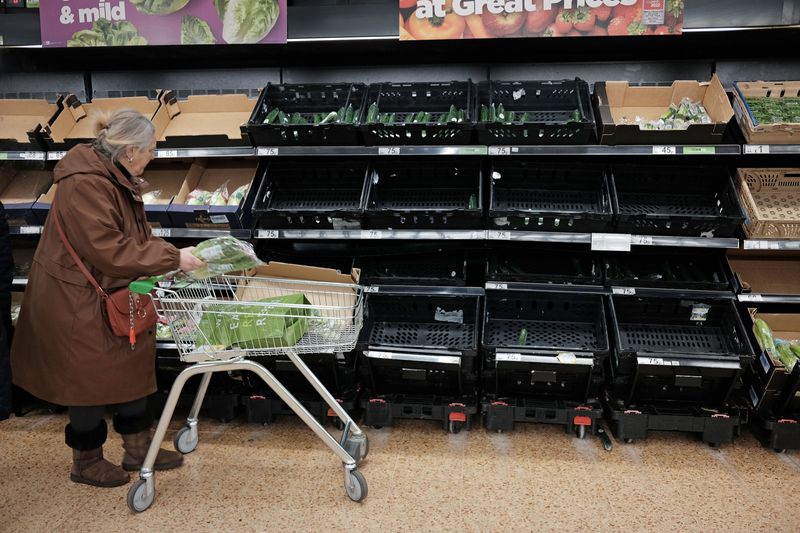 Fresh Fruit Famine