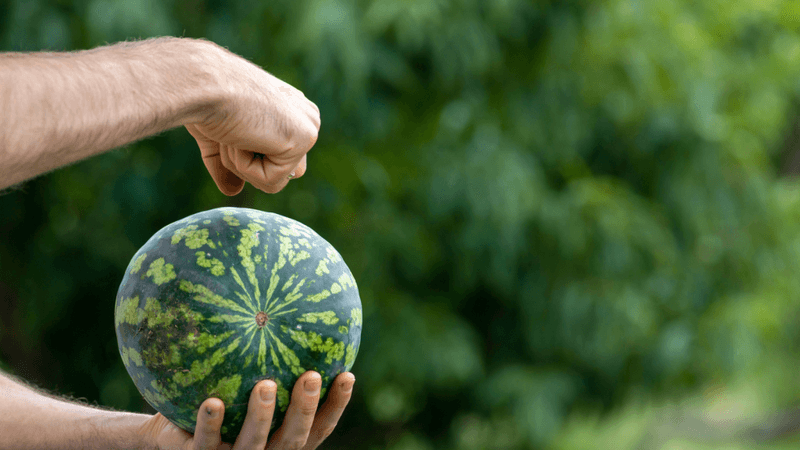 Tap Melons And Listen For A Hollow Sound