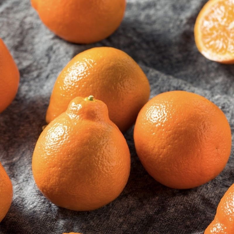Minneola Tangelo