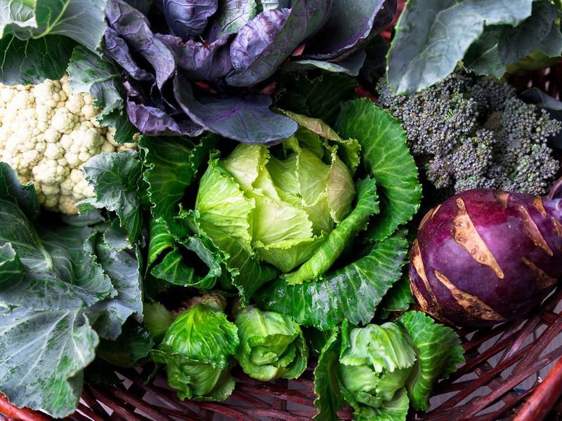Cruciferous Vegetables
