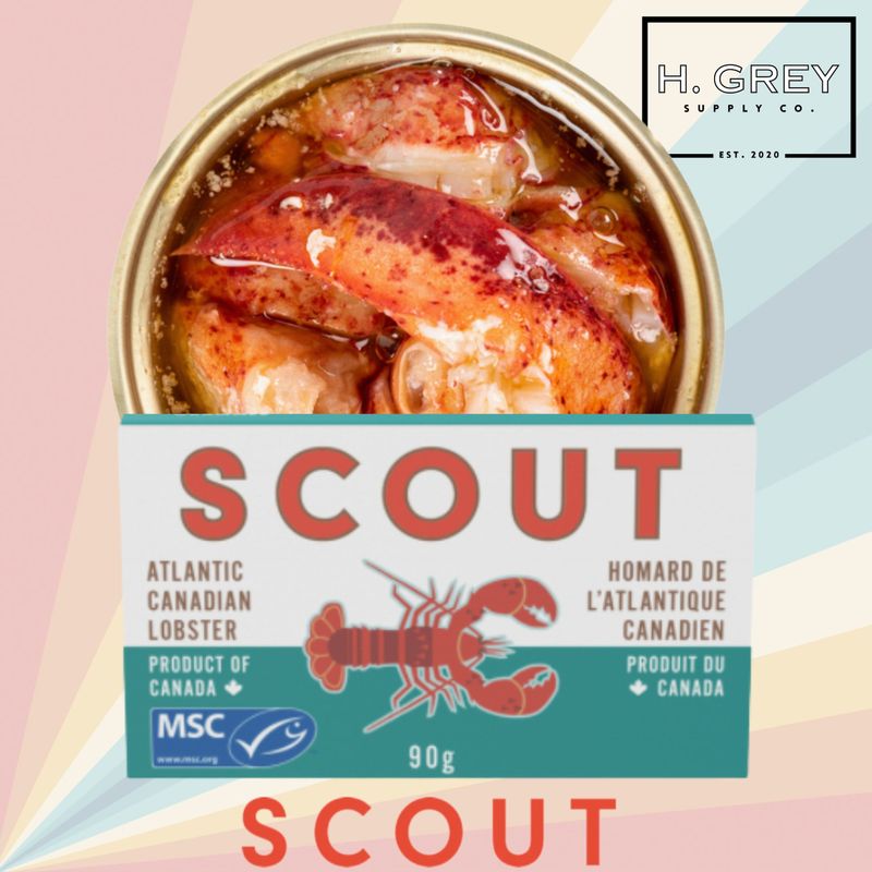 Scout Lobster