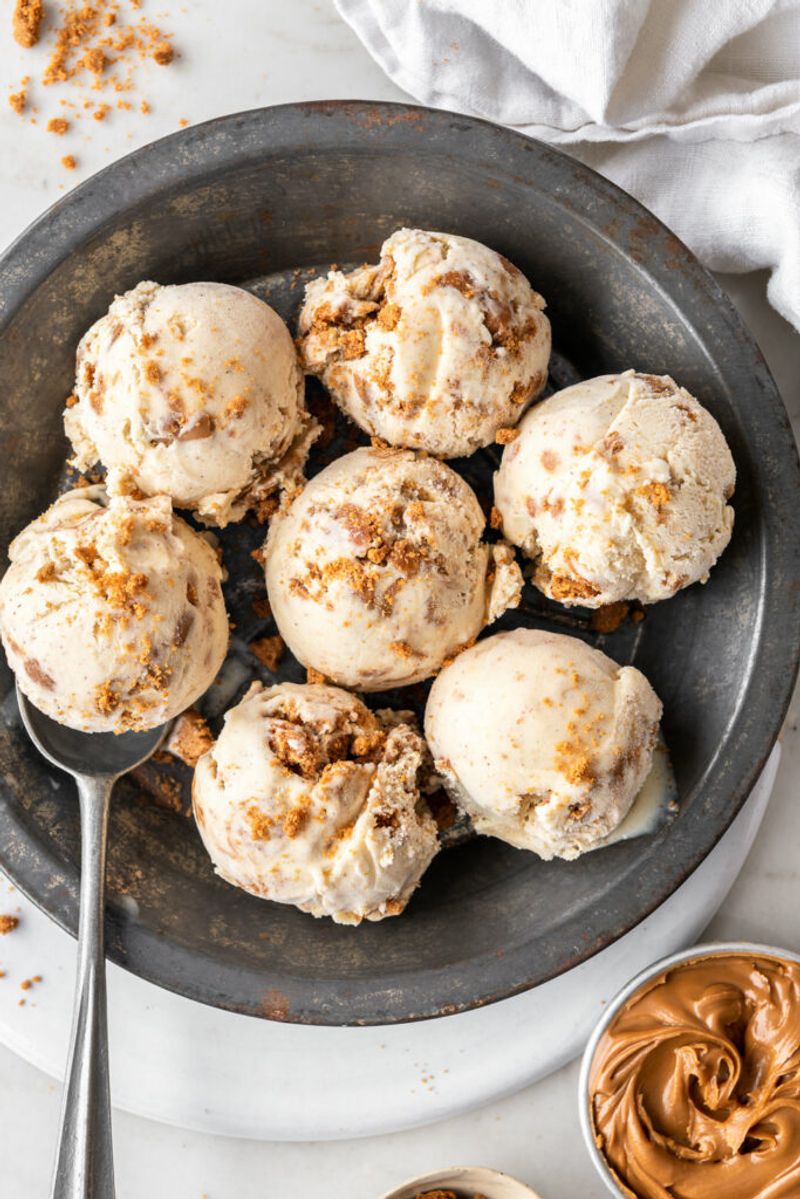 Cookie Butter Frozen Yogurt