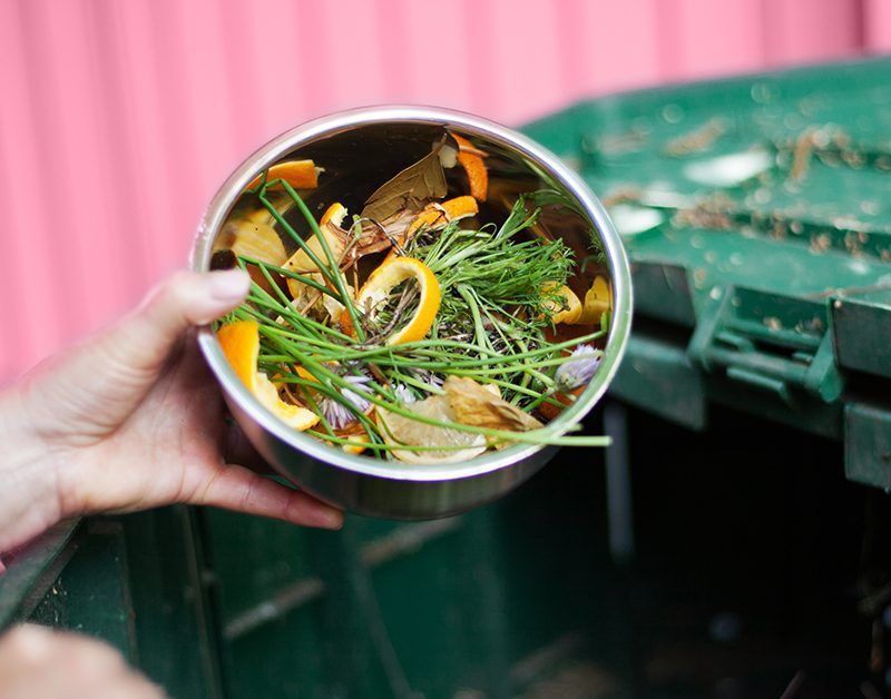 Compost Pile Heat Cooking In Eco-Communities