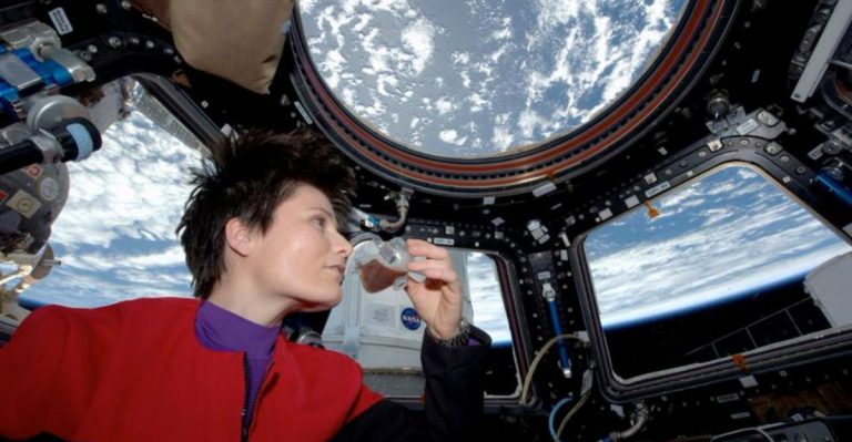 Cosmic Cuisine: What Astronauts Will Feast On In Space!