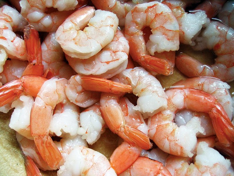 Shellfish