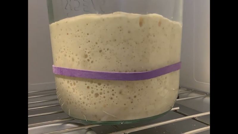 Feed Your Starter Until It's Lively